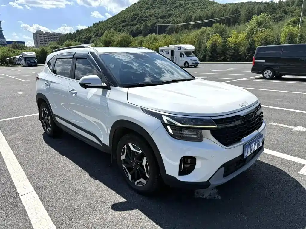 Kia Seltos — миниатюра 4