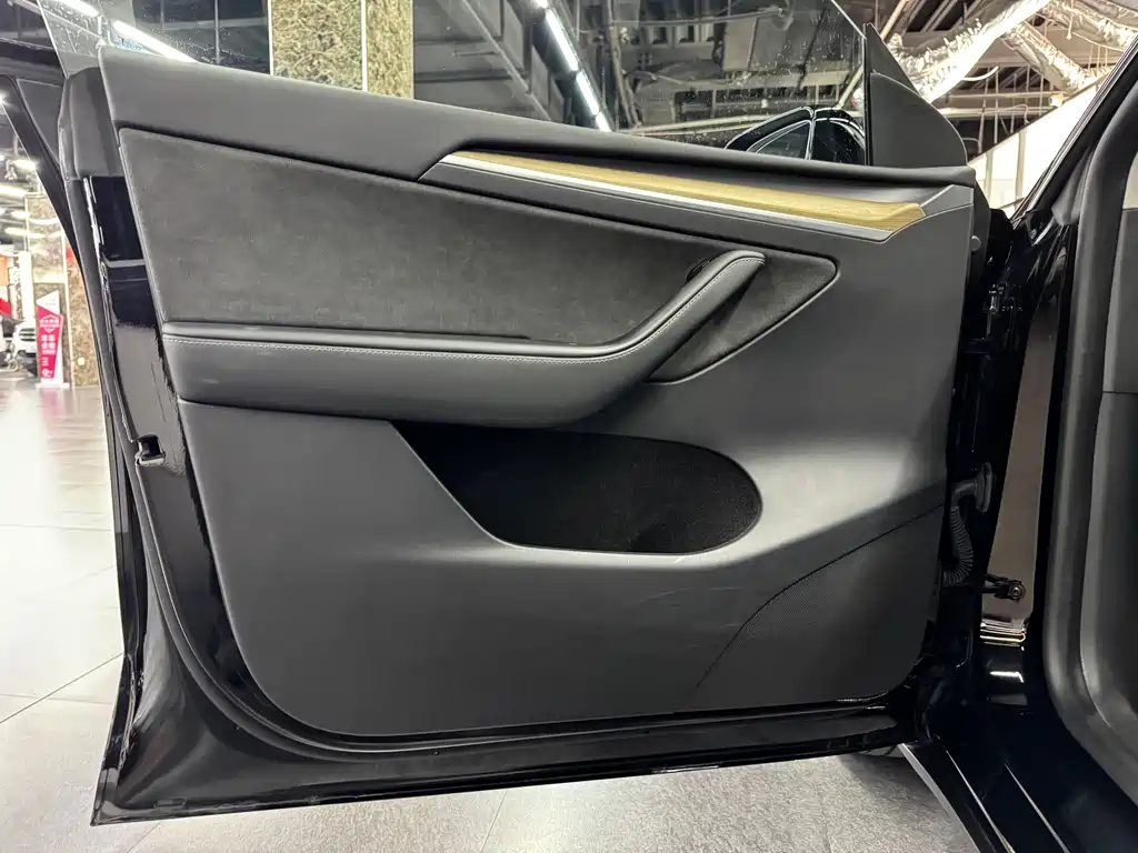 Tesla Model Y — миниатюра 6