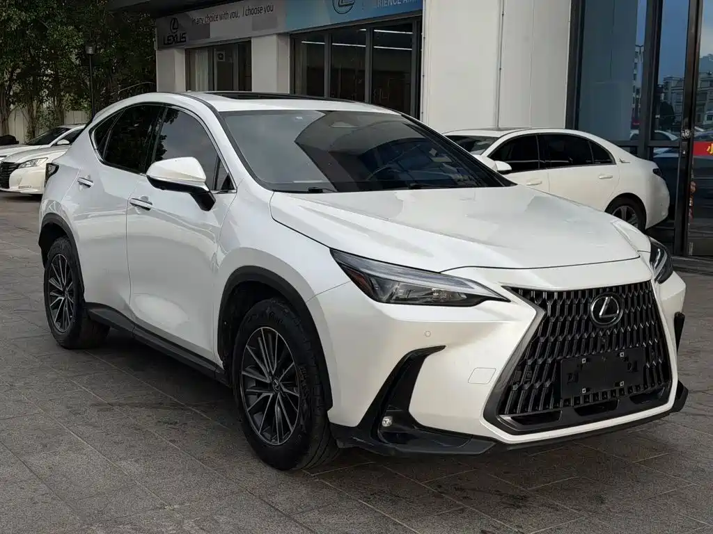 Lexus NX — миниатюра 3