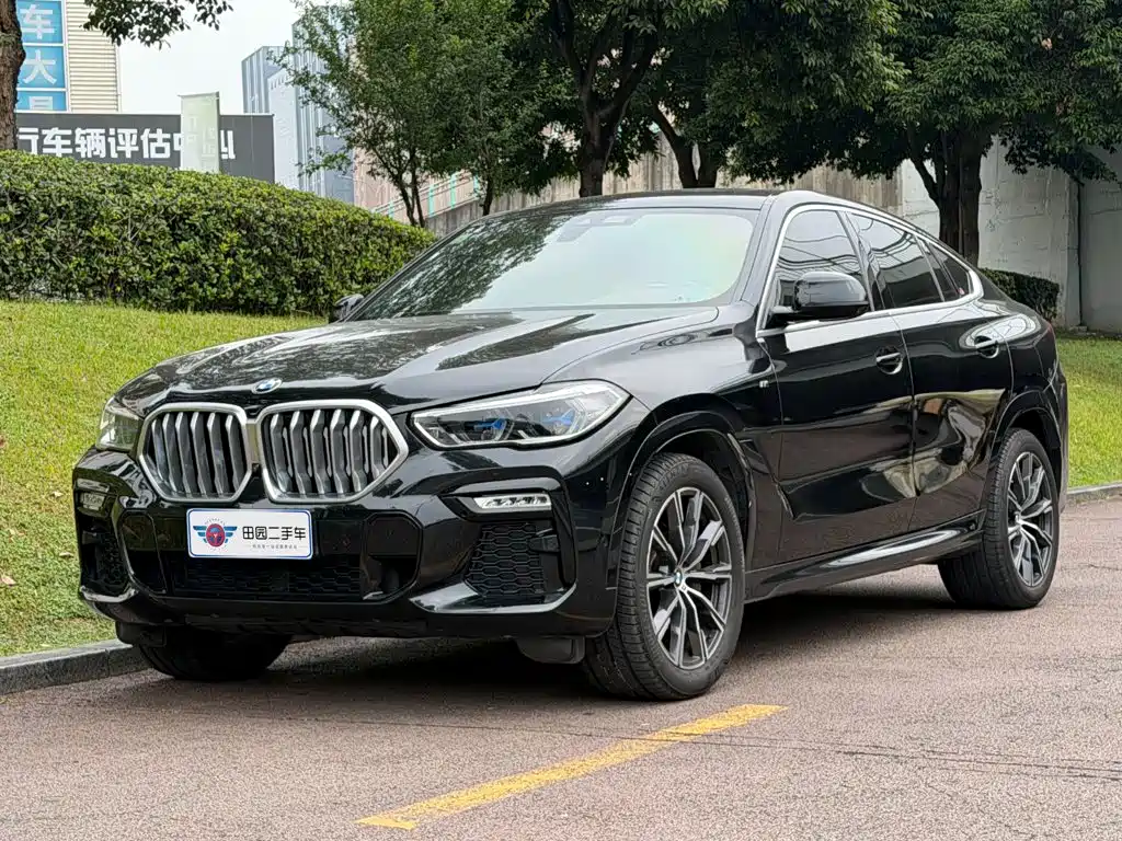 BMW X6