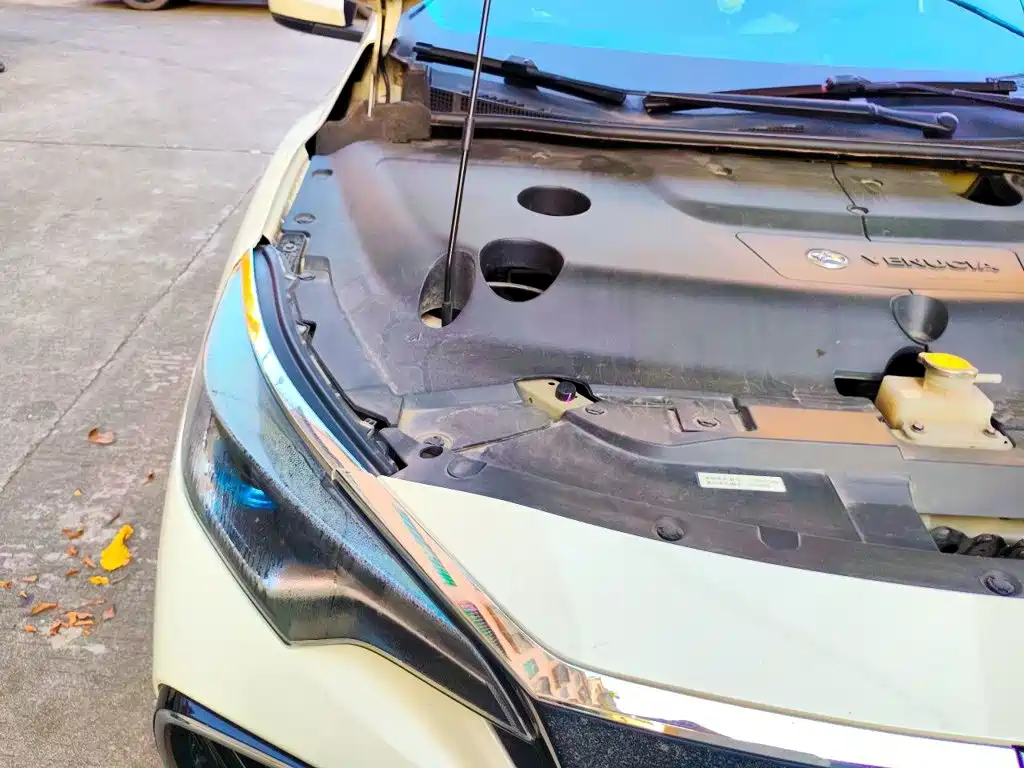Venucia D60 EV — миниатюра 21