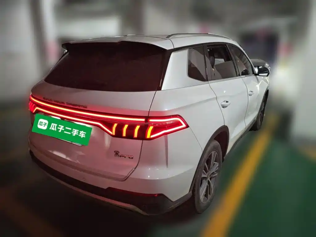 BYD Pro — миниатюра 6