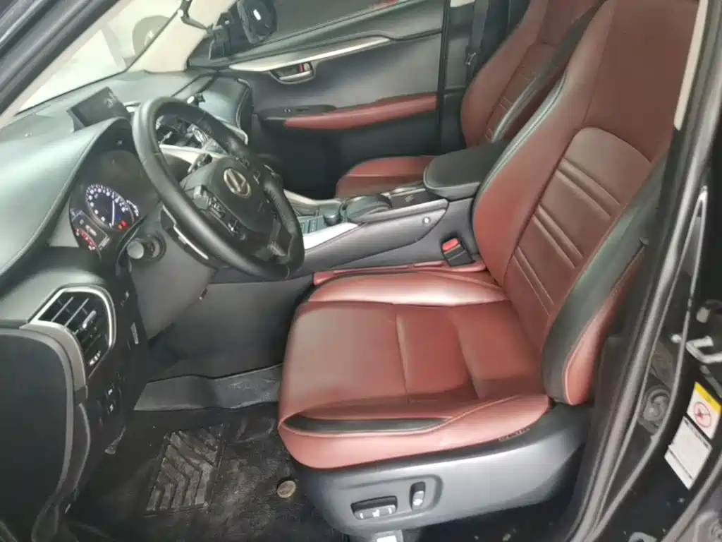 Lexus NX — миниатюра 15