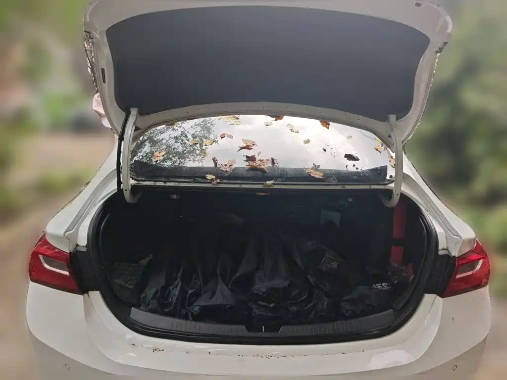 Chevrolet Malibu XL — миниатюра 20