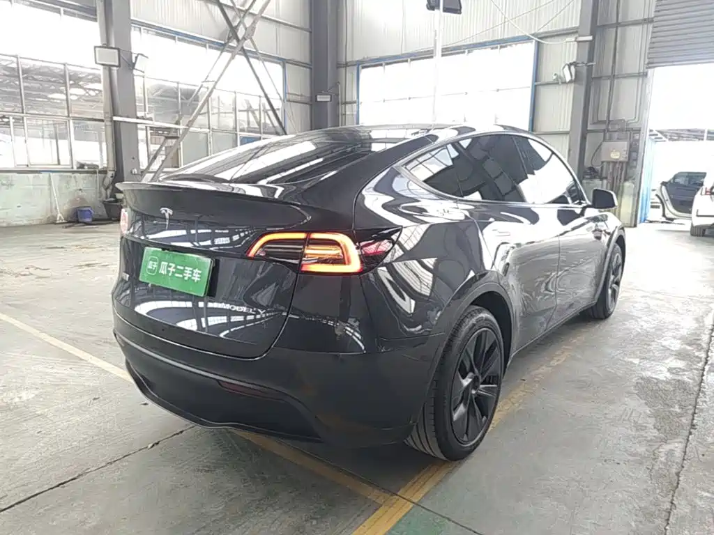 Tesla Model Y — миниатюра 7