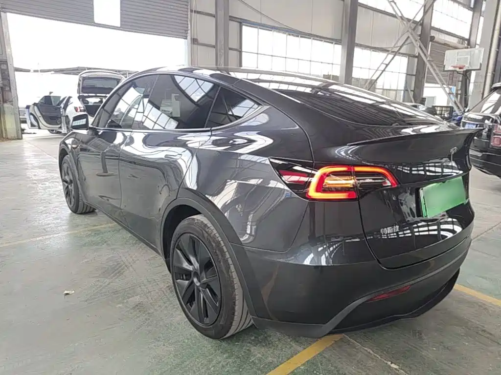 Tesla Model Y — миниатюра 5