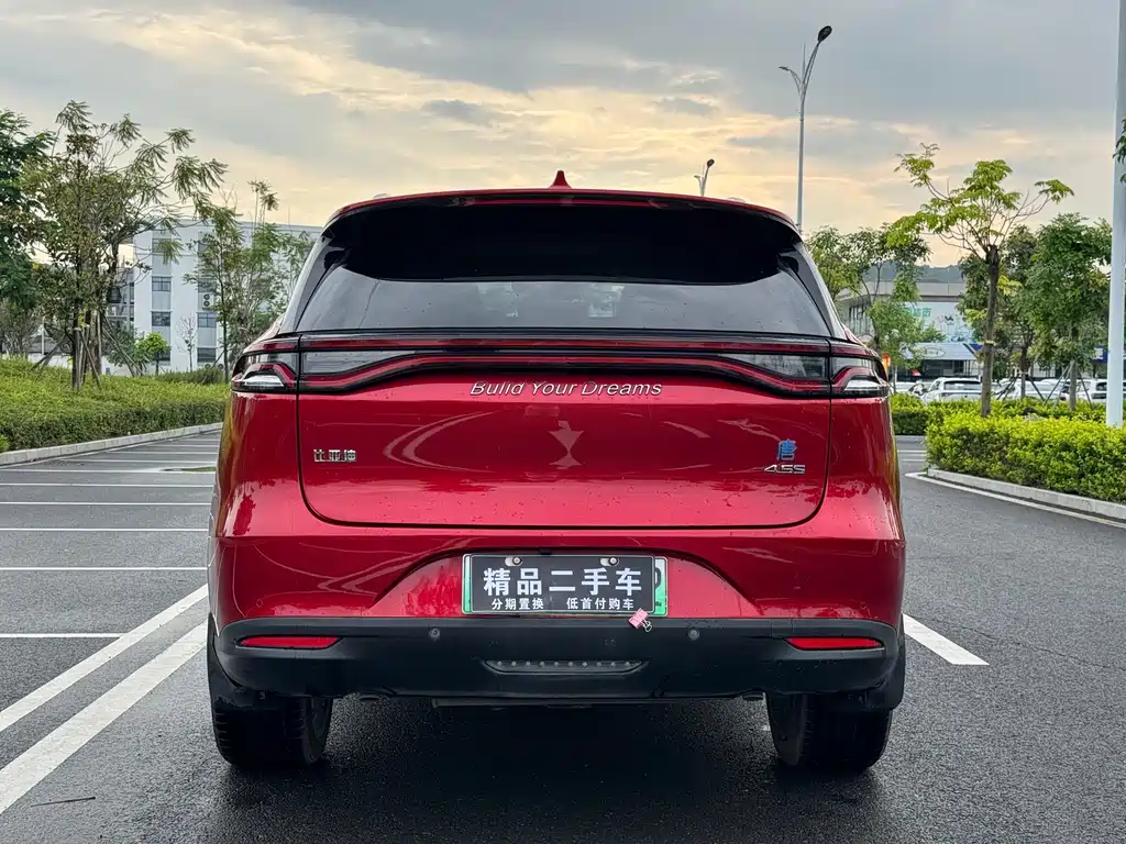 BYD Tang 2019 DM 2.0T 7 мест VI