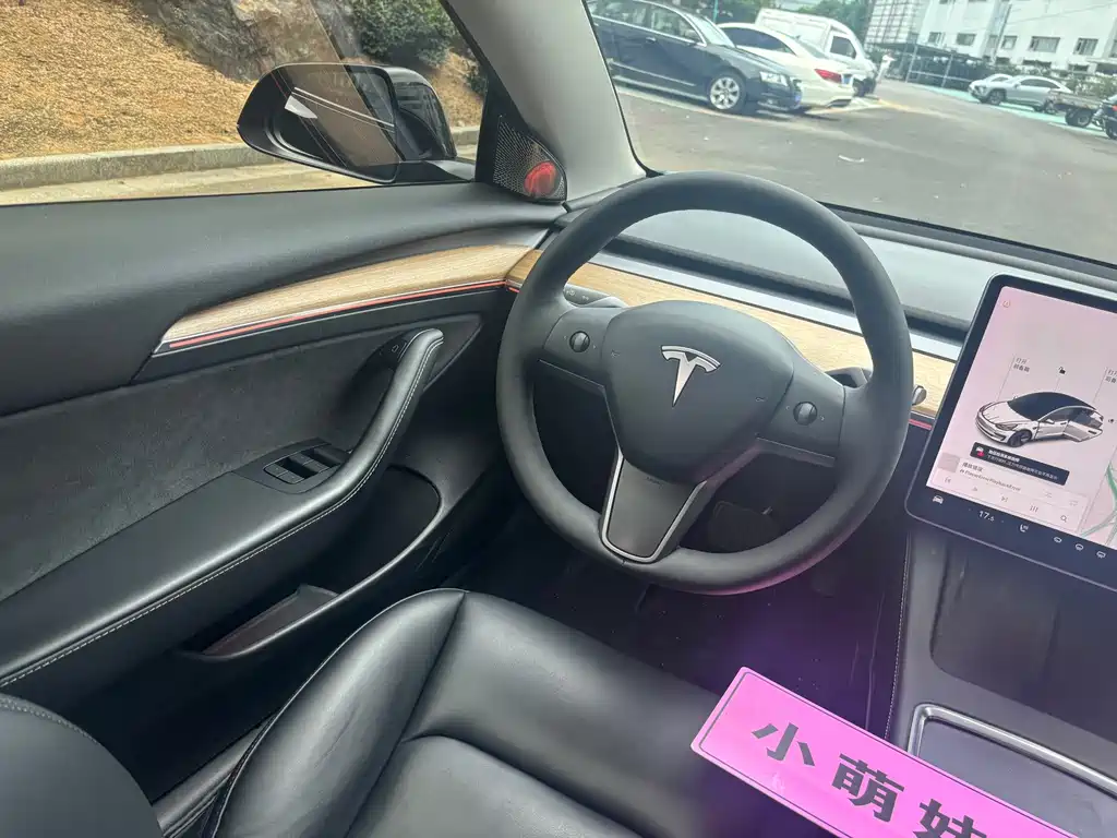 Tesla Model 3 — миниатюра 12
