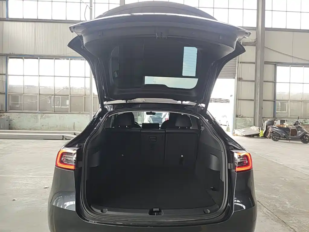 Tesla Model Y — миниатюра 19