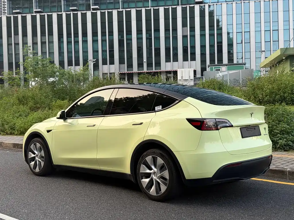Tesla Model Y — миниатюра 15
