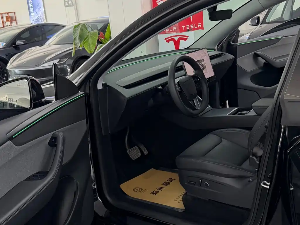 Tesla Model Y — миниатюра 7