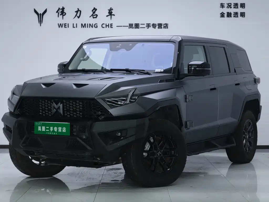 Mengshi Mengshi 917