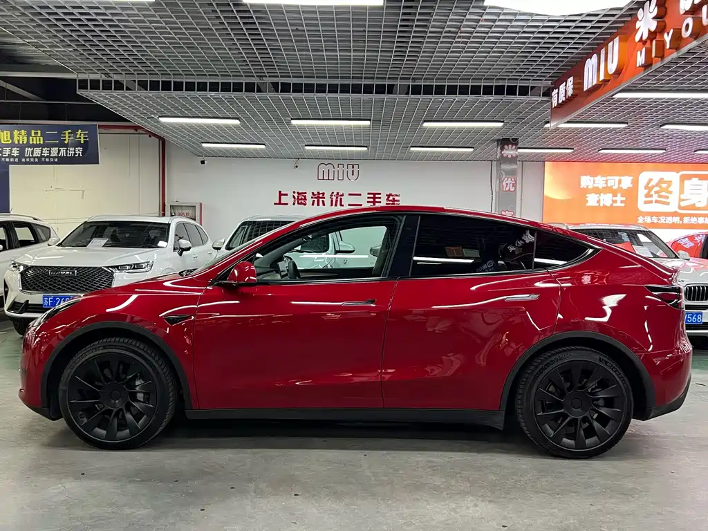 Tesla Model Y — миниатюра 3