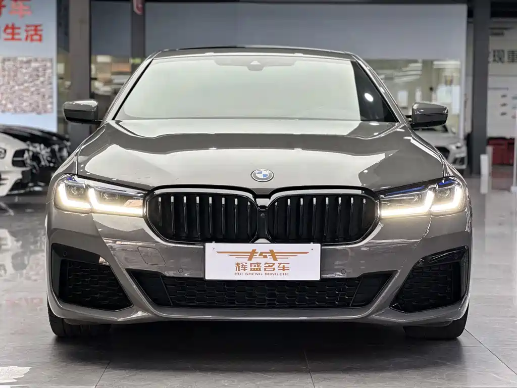 BMW 5 Series (Import) — миниатюра 2