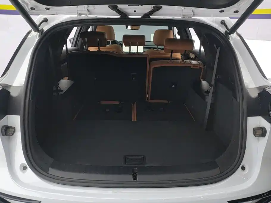 BYD Tang New Energy — миниатюра 4