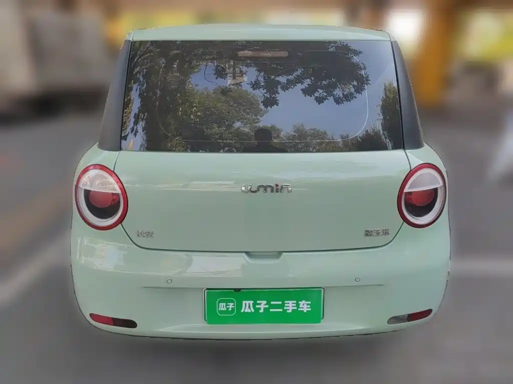 Qiyuan Lumin — миниатюра 3