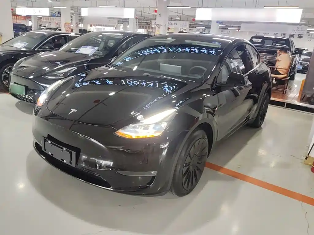 Tesla Model Y — миниатюра 2