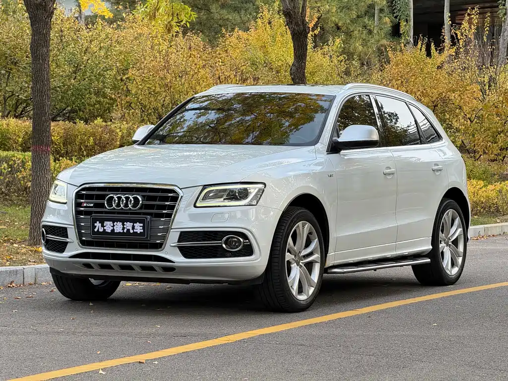 Audi SQ5 — миниатюра 5