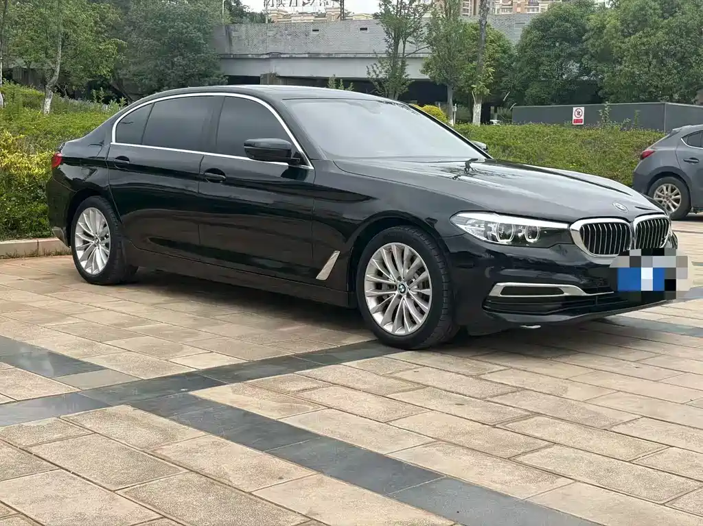 BMW 5 Series 5 2019 530Li Lead Luxury