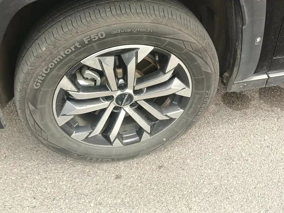 Haval Big Dog PLUS — миниатюра 6
