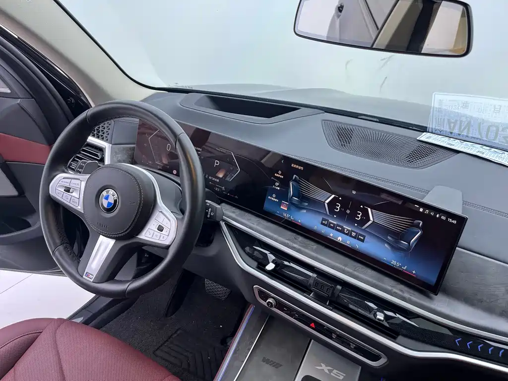 BMW X5 — миниатюра 8