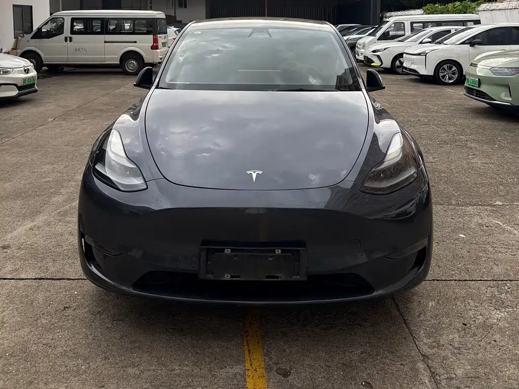 Tesla Model Y — миниатюра 2