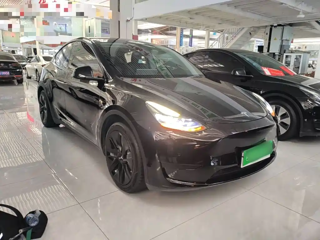 Tesla Model Y — миниатюра 4
