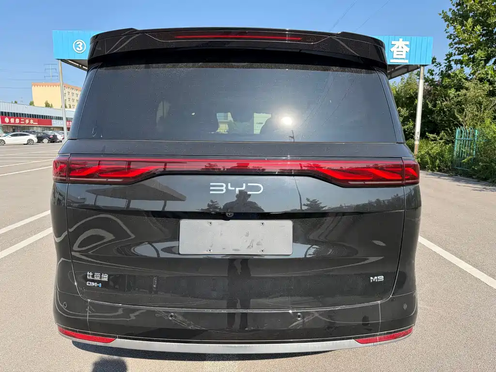 BYD M9 — миниатюра 5