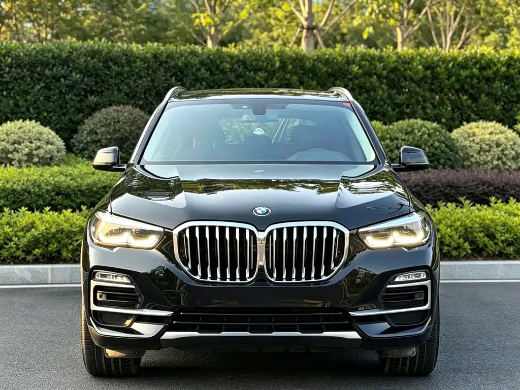 BMW X5 (Import) — миниатюра 2