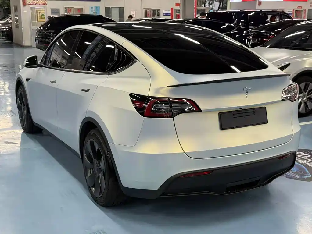 Tesla Model Y — миниатюра 4