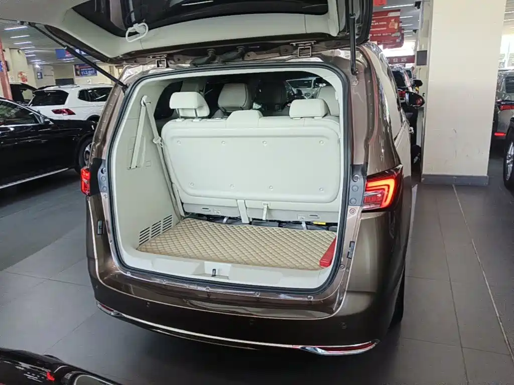 Buick GL8 — миниатюра 19