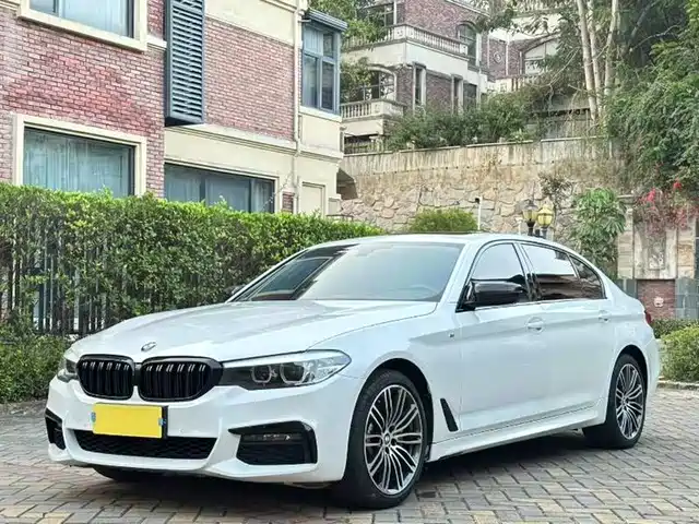 2019 BMW 5er