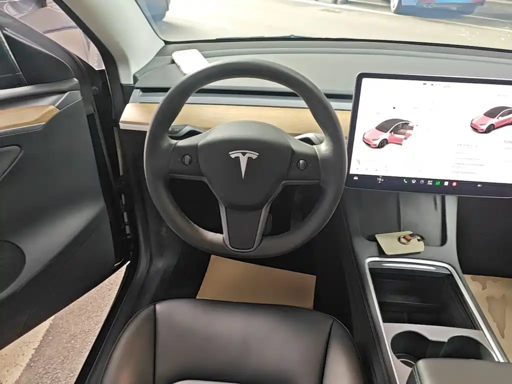 Tesla Model Y — миниатюра 11