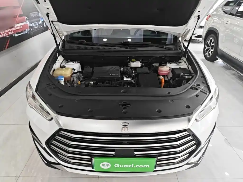 BYD Pro New Energy — миниатюра 20