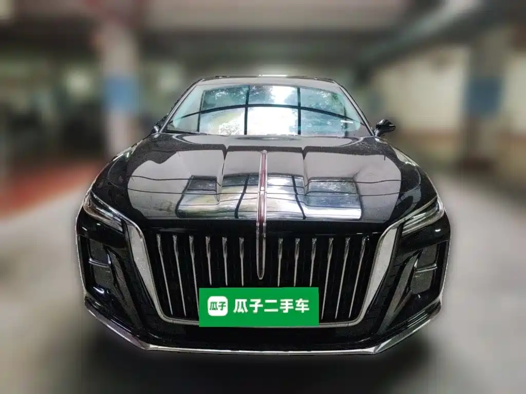 Hongqi Hongqi H5 — миниатюра 24