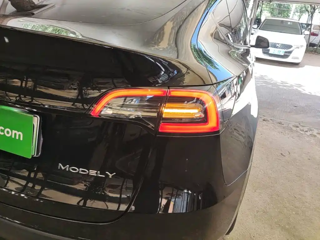 Tesla Model Y — миниатюра 8