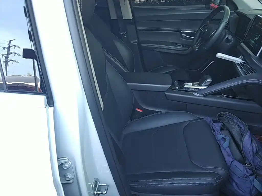BYD Pro — миниатюра 25