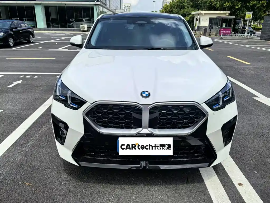 BMW X2 (Import) — миниатюра 2