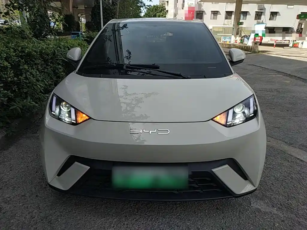 BYD Seagull