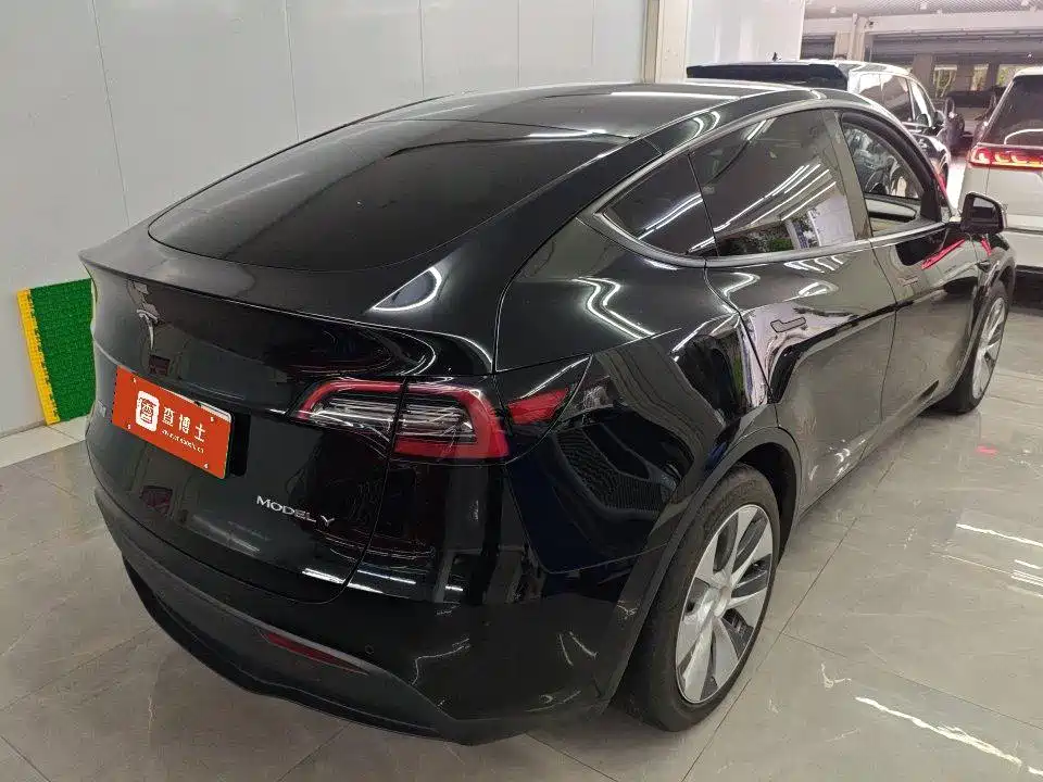 Tesla Model Y — миниатюра 7