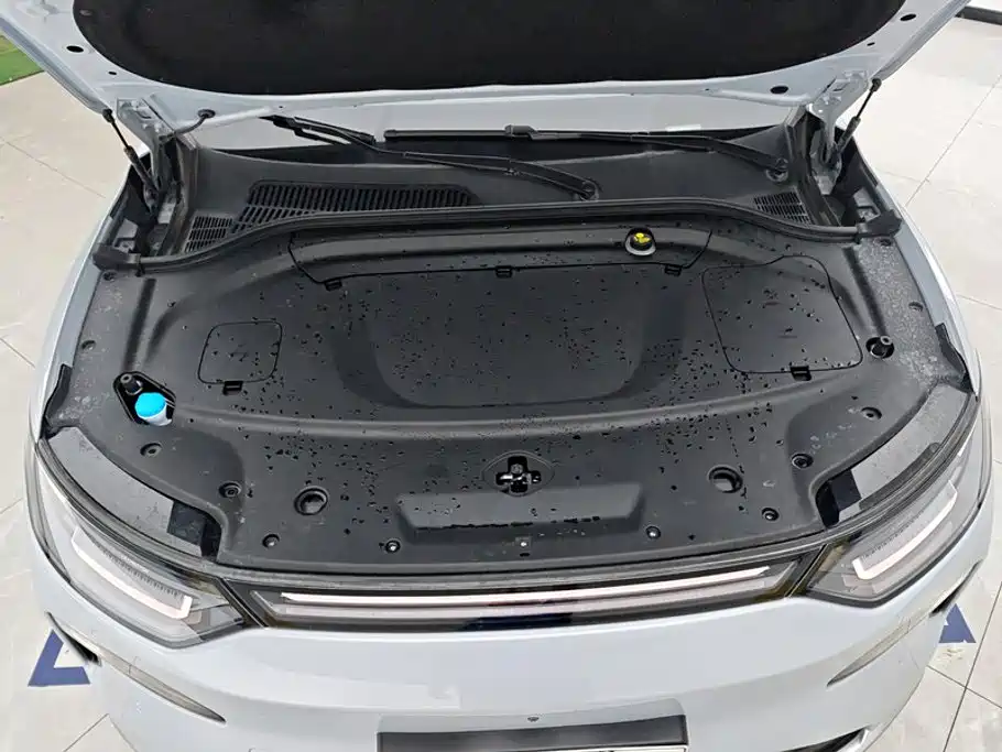 Leapmotor Leapmotor C11 — миниатюра 10