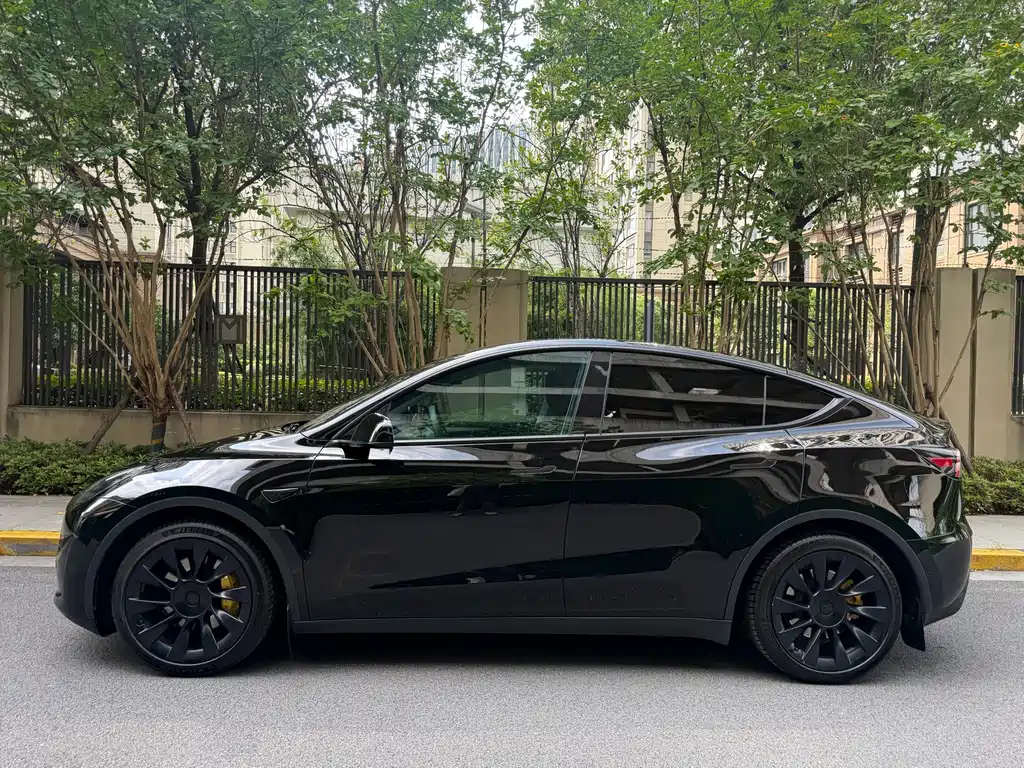 Tesla Model Y — миниатюра 4