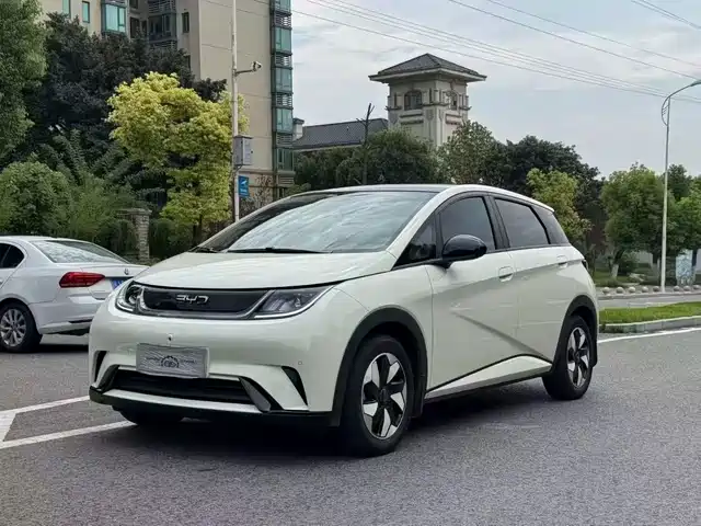 2024 BYD Dolphin