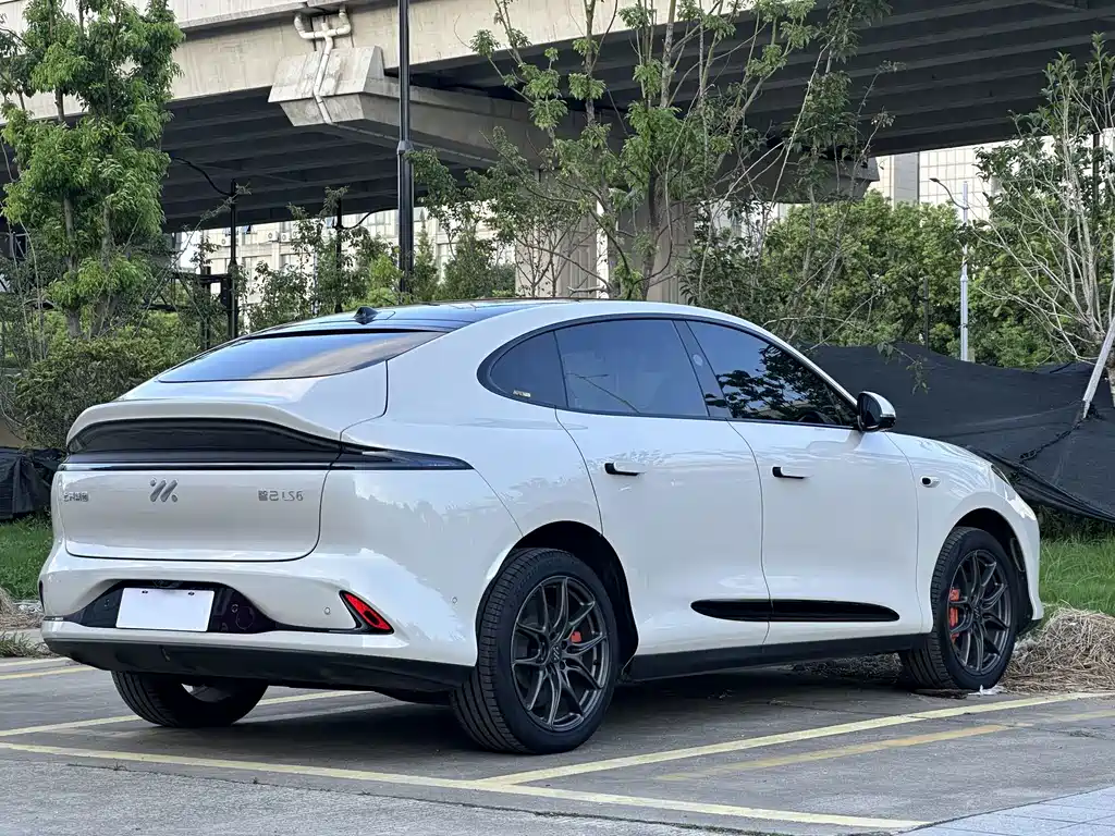 IM IM LS6 — миниатюра 15