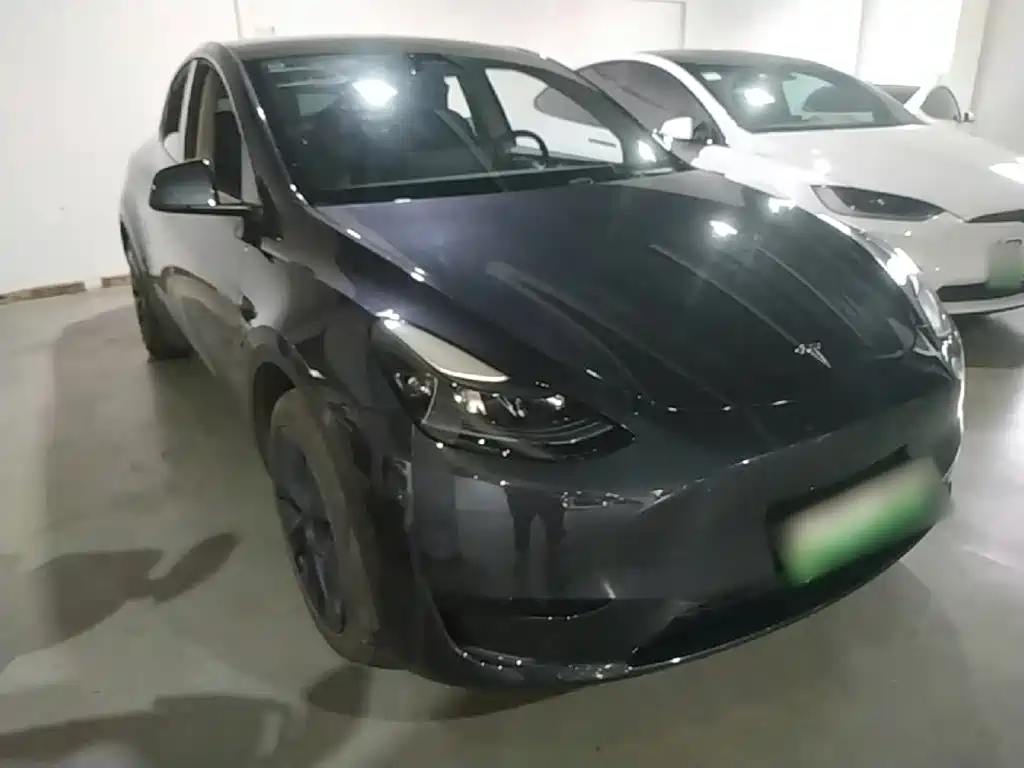 Tesla Model Y — миниатюра 4