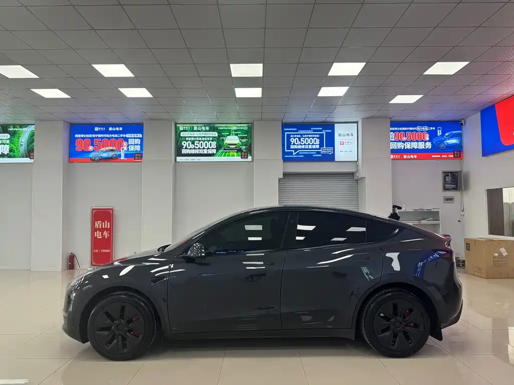 Tesla Model Y — миниатюра 3