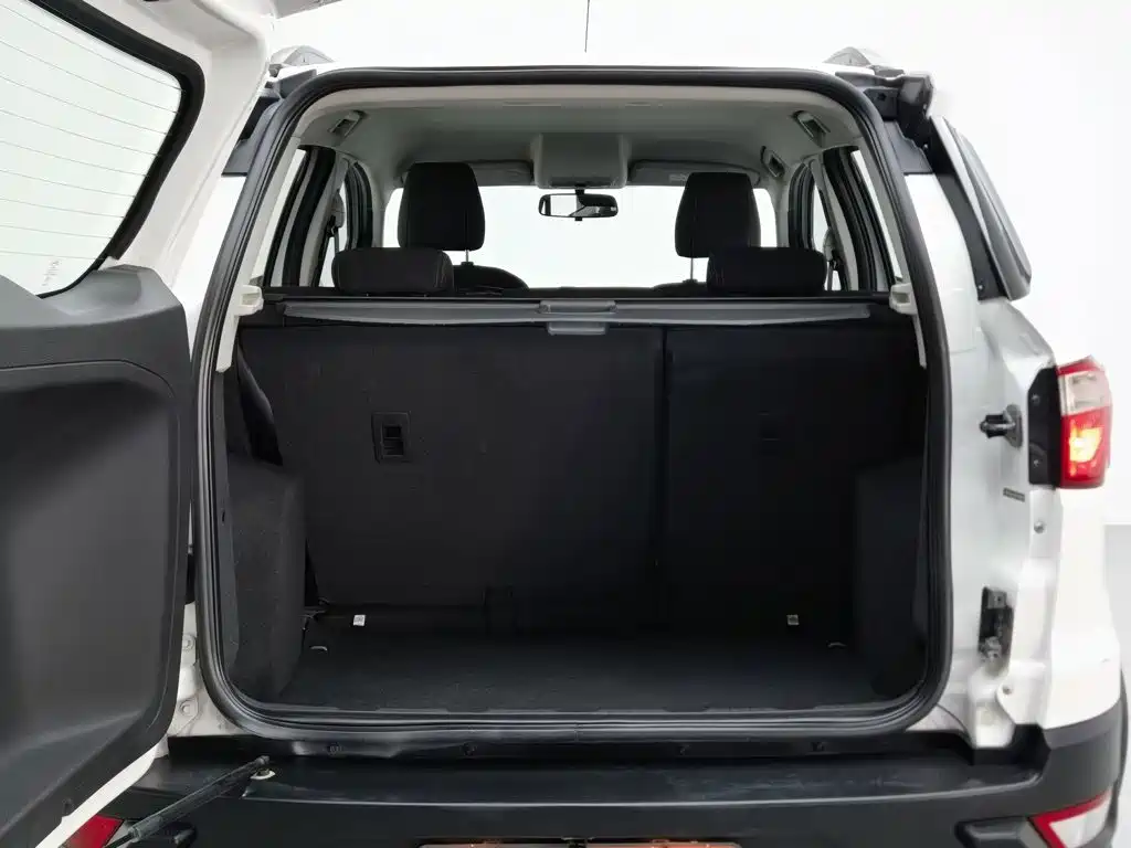Ford Ecosport — миниатюра 16