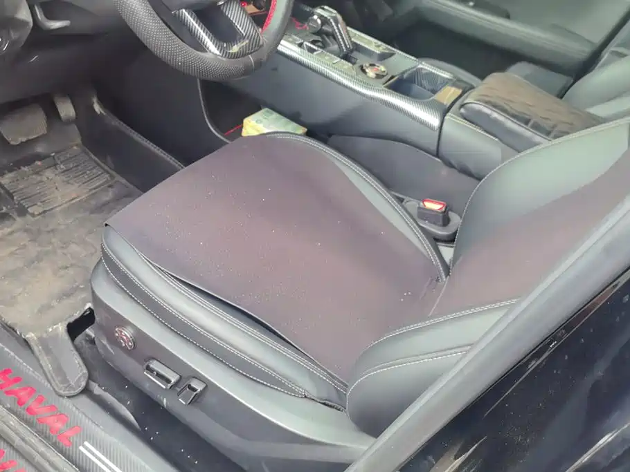 Haval Big Dog PLUS — миниатюра 9