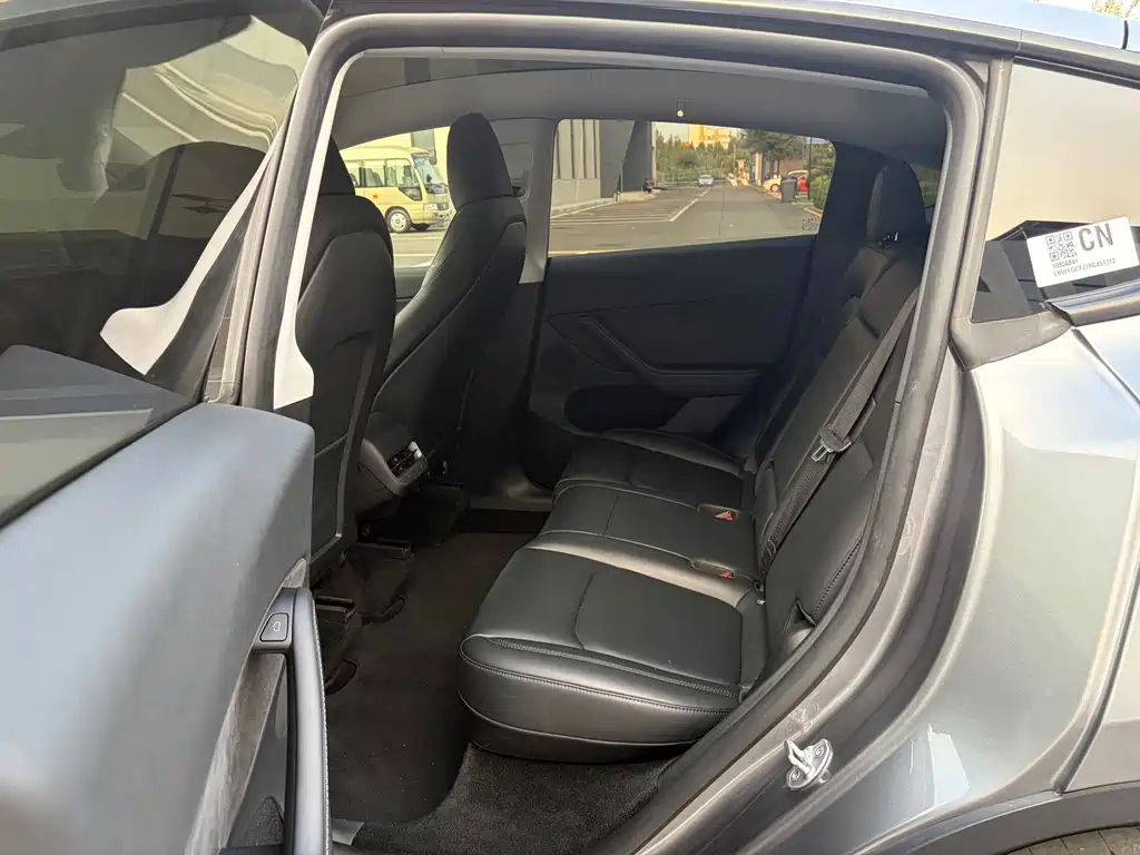 Tesla Model Y — миниатюра 10