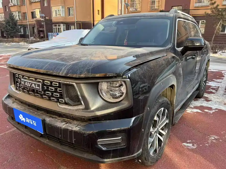 Haval 哈弗大狗 PLUS 2024